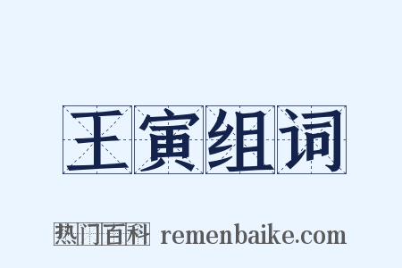 王寅组词是什么意思的图片